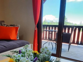 Apartmani Malešević - 2